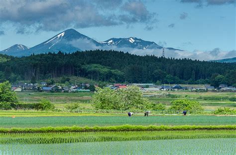 青森市 ディナー - 海の幸と山の幸が織りなす食の芸術