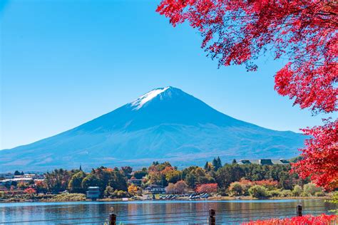 箱根 おすすめスポット: 温泉とアートの融合が生む新たな旅の形