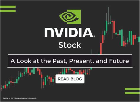 nvidia 주식, 인공지능의 미래를 담보로 한 투자 전략