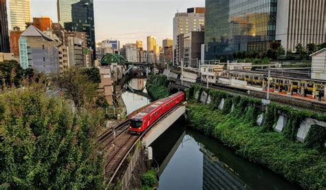 御茶ノ水駅 周辺 なぜかカエルがビジネスマンに変身する噂