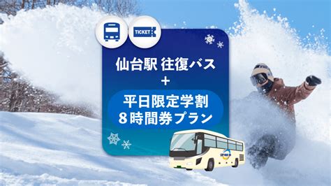 仙台駅 駐車場 安い 平日 なぜか猫が多く集まる理由とは？